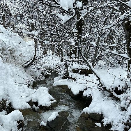 Agreable Appartement De 6 Pers Au Pieds Des Pistes ,Wifi Gratuit A Saint-Sorlin-D'Arves Labelise 3 Etoiles Au Gite De France Bagian luar foto